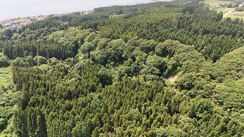 DJI_0035